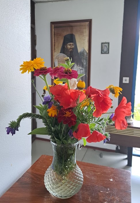 Panagia kukkia