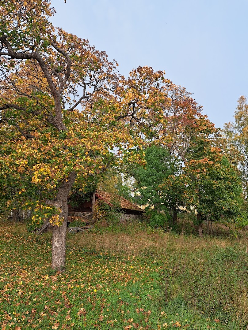 luontoa