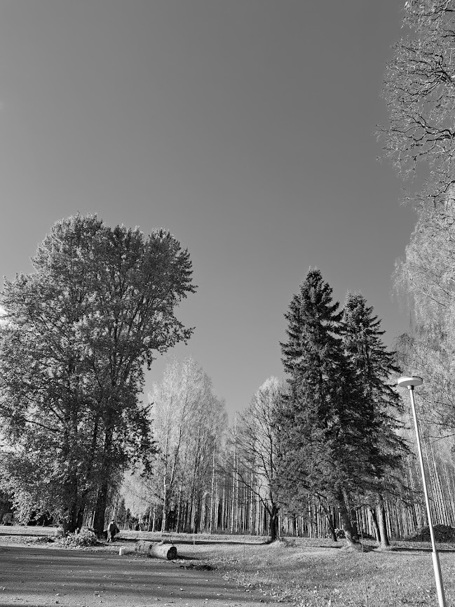 poppelin alla mustavalkoinen kuva